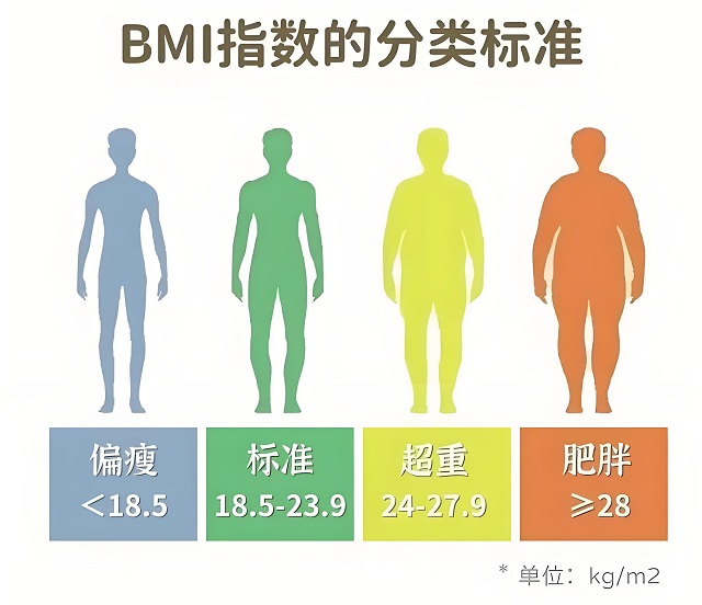 bmi计算器公式